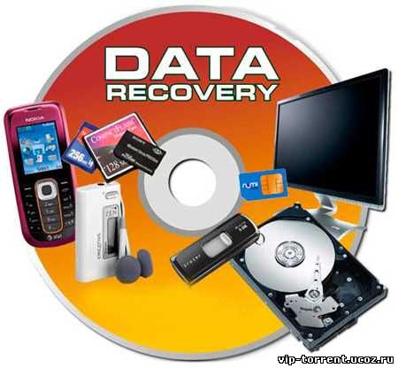 Raise Data Recovery for FAT/NTFS 5.18.2 (2015) РС