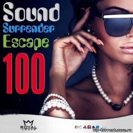 VA - Sound Surrender Escape 100 (2015) MP3